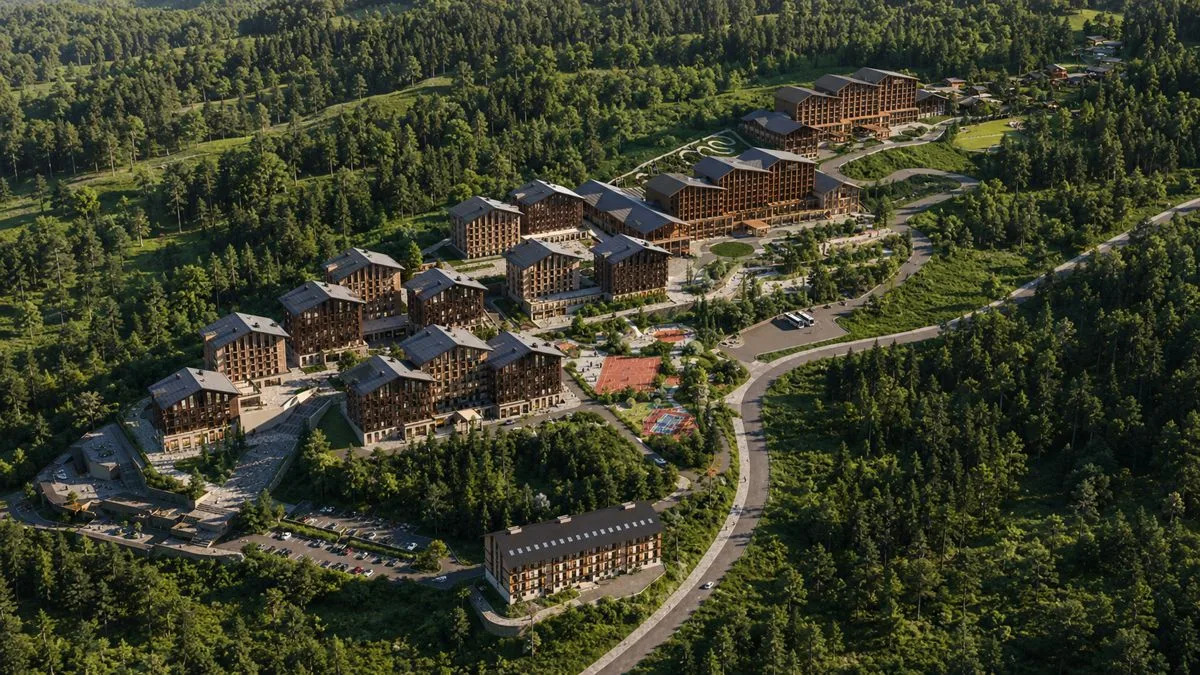 Кедры